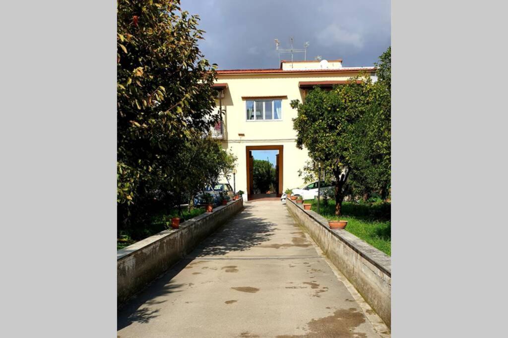 Appartamento In Villa Alle Falde Del Vesuvio Neapel Exterior foto
